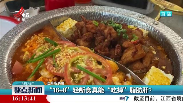 【远离脂肪肝】“16+8”轻断食真能“吃掉”脂肪肝？