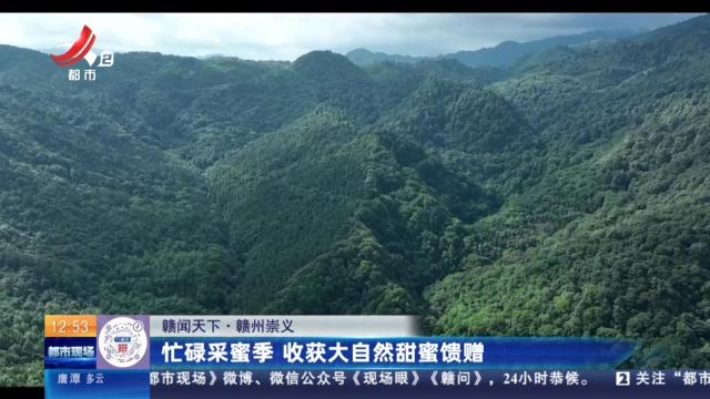 【赣闻天下】赣州崇义：忙碌采蜜季 收获大自然甜蜜馈赠