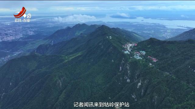 美丽江西在行动20250803 江西庐山国家级自然保护区管理局牯岭护站救助斑头鸺鹠