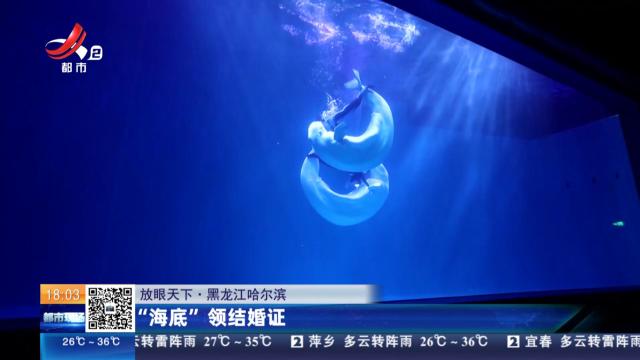 【放眼天下】黑龙江哈尔滨：“海底”领结婚证