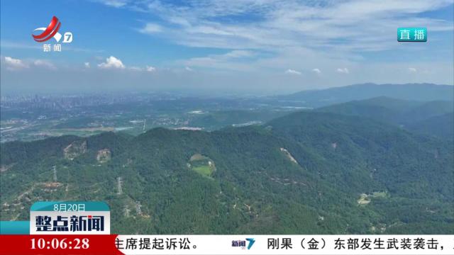 整点新闻20250820 10：00