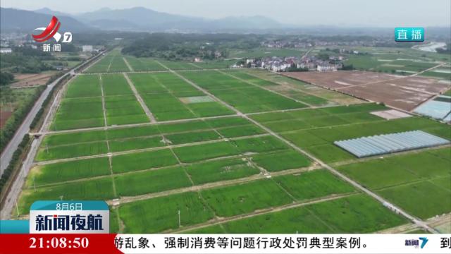 新闻夜航20250806