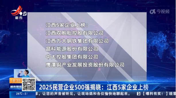 2025民营企业500强揭晓：江西5家企业上榜