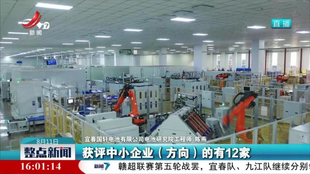 【“数”动江西 “智”向未来】一块锂电池的“数质”领航之旅
