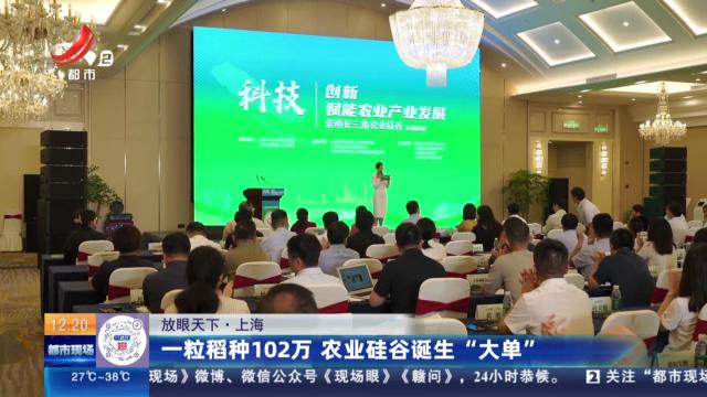 【放眼天下】上海：一粒稻种102万 农业硅谷诞生“大单”