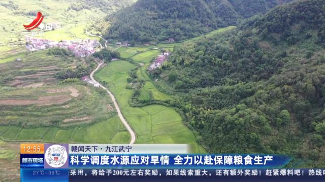 【赣闻天下】九江武宁：科学调度水源应对旱情 全力以赴保障粮食生产