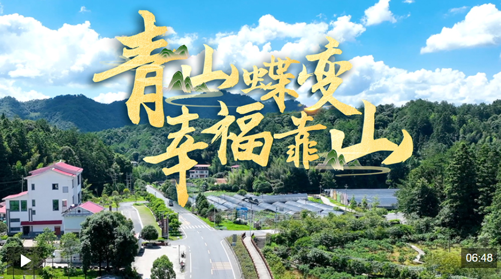 近观“两山”丨青山蝶变幸福靠山