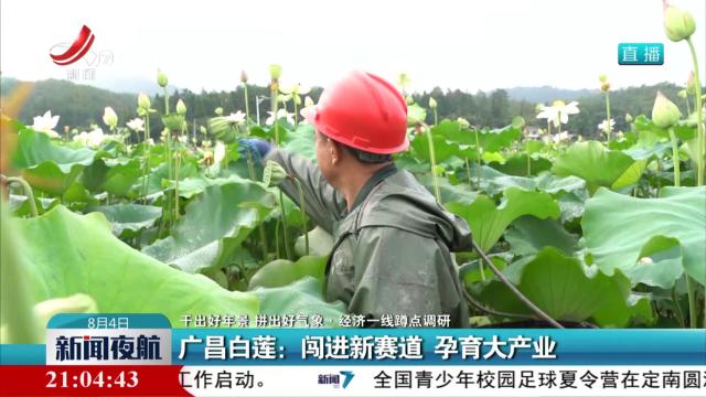 【干出好年景 拼出好气象·经济一线蹲点调研】广昌白莲：闯进新赛道 孕育大产业