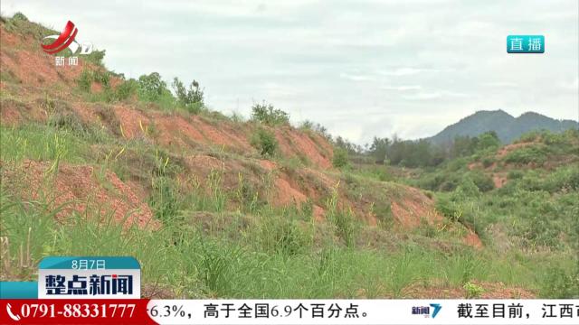 整点新闻20250807 16:00