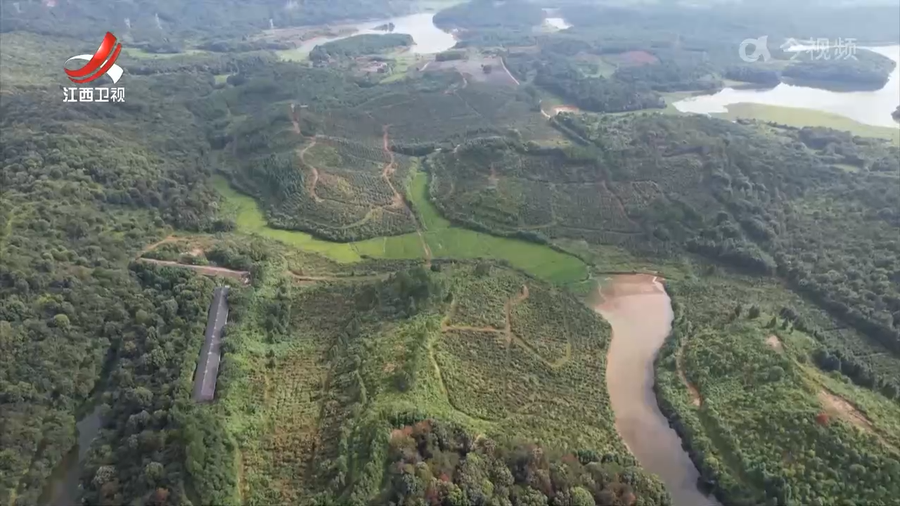 9月1日起 我省油茶等加工用电价格执行新规
