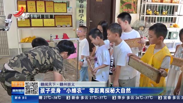 【赣闻天下】赣州崇义：孩子变身“小蜂农” 零距离探秘大自然