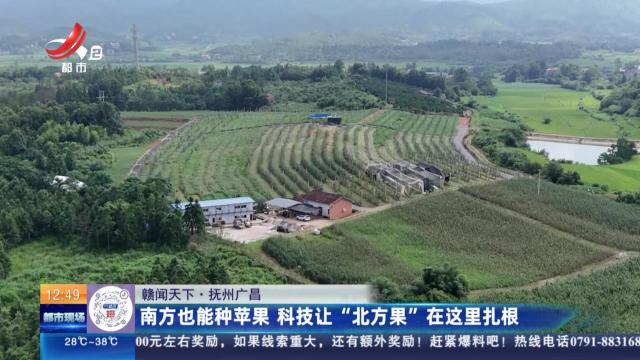 【赣闻天下】抚州广昌：南方也能种苹果 科技让“北方果”在这里扎根