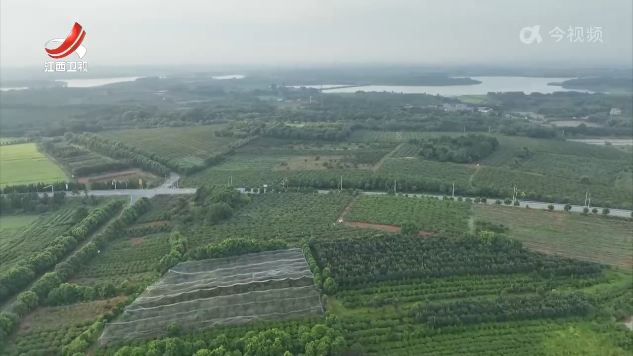 【干出好年景 拼出好气象·经济一线蹲点调研】“中国药都”樟树发展“药”诀
