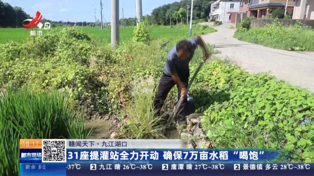 【赣闻天下】九江湖口：31座提灌站全力开动 确保7万亩水稻“喝饱”