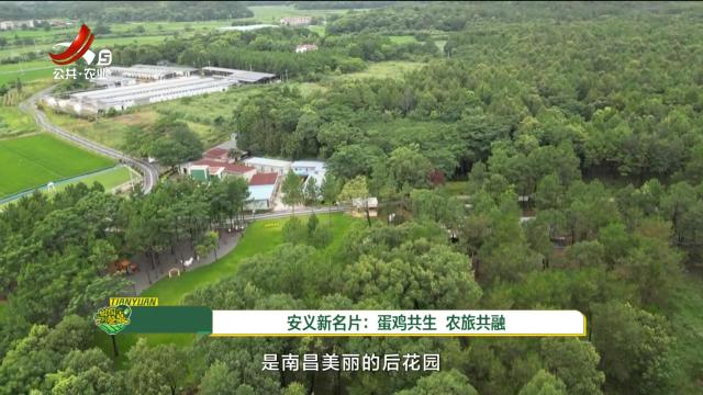 从田园到餐桌20250802