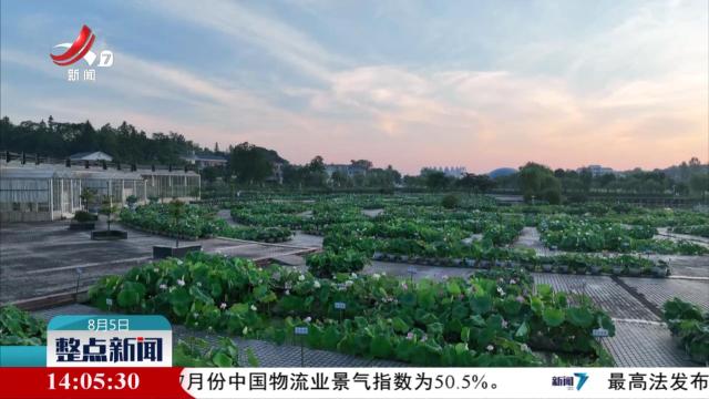 整点新闻20250805 14:00