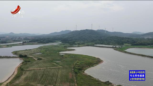 三农头条20250818