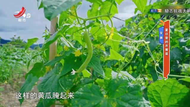 安徽：夏日里的开胃菜