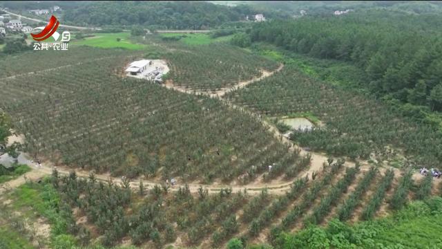 新闻晚高峰20250811