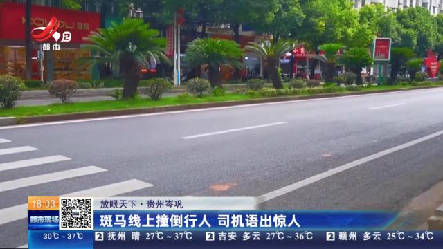 【放眼天下】贵州岑巩：斑马线上撞倒行人 司机语出惊人