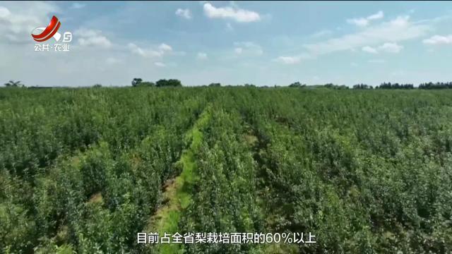 农问20250815