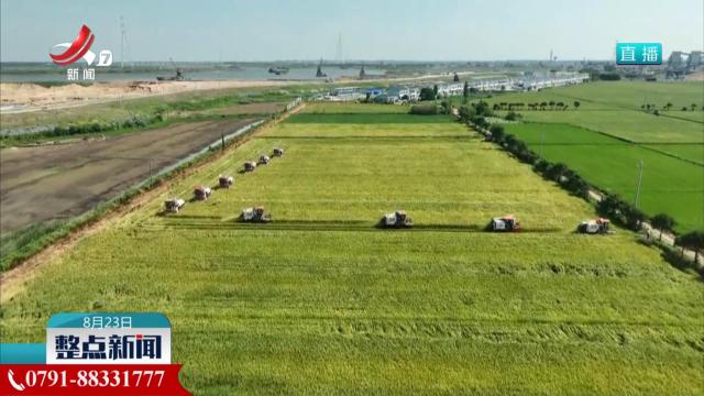 全省早稻实现面积总产单产“三提升”
