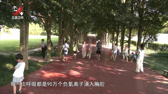 社会传真20250802 “夏日经济”的热力密码