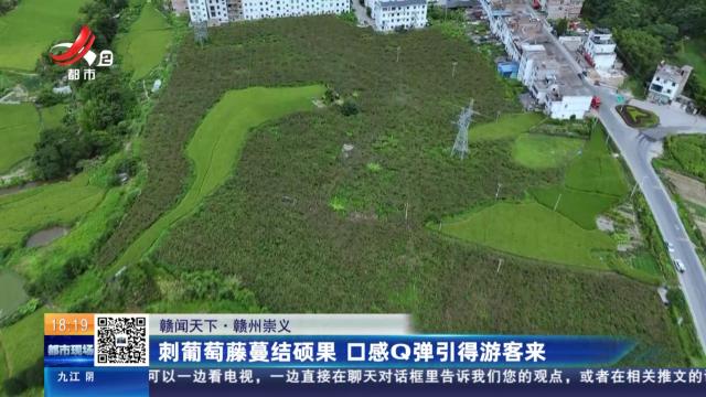都市现场20250822