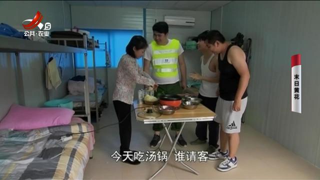 乡村栏目剧场20250826 末日黄花