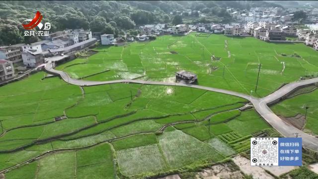 新闻晚高峰20250825