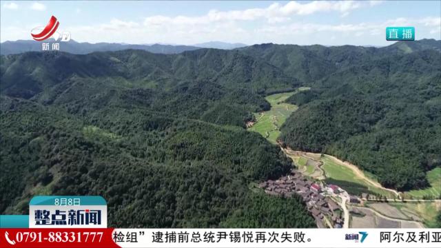 整点新闻20250808 10:00