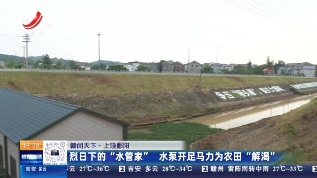 【赣闻天下】上饶鄱阳：烈日下的“水管家” 水泵开足马力为农田“解渴”