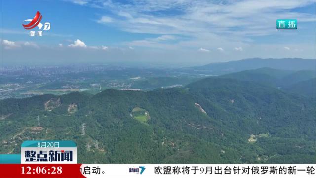【山河见证——我们的抗战记忆】抗战烽火中诞生的新四军