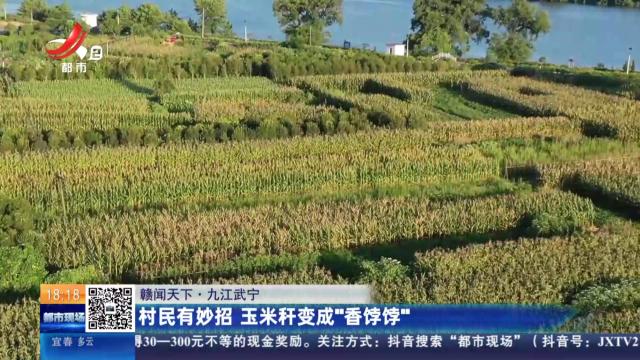 【赣闻天下】九江武宁：村民有妙招 玉米杆变成“香饽饽”