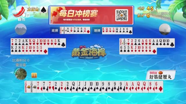 谁是赢家20250823