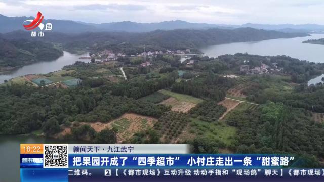 【赣闻天下】九江武宁：把果园开成了“四季超市” 小村庄走出一条“甜蜜路”