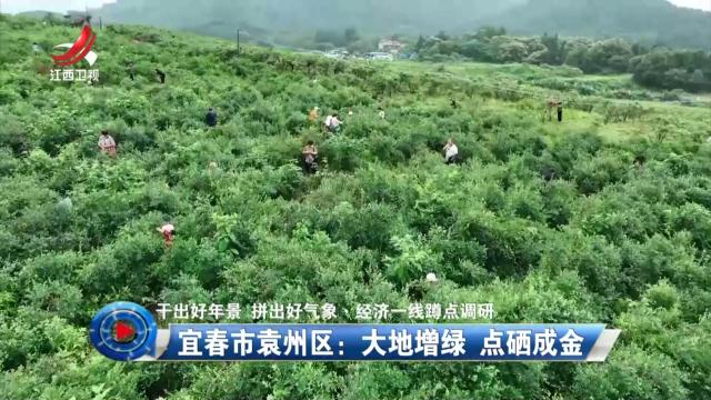 社会传真20250801 【干出好年景 拼出好气象·经济一线蹲点调研】宜春市袁州区：大地增绿 点硒成金
