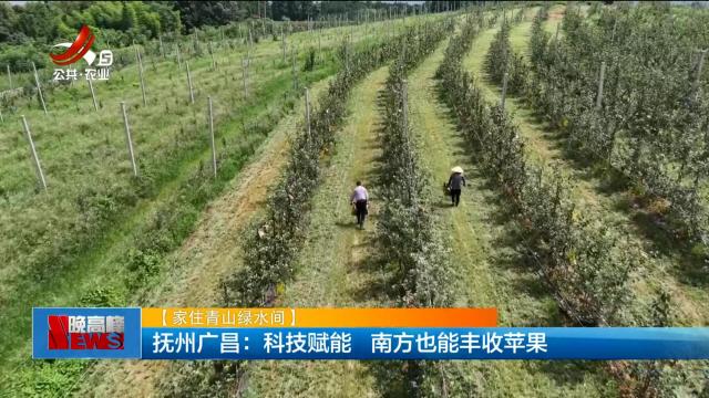 【家住青山绿水间】抚州广昌：科技赋能 南方也能丰收苹果