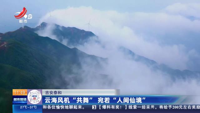 吉安泰和：云海风机“共舞” 宛若“人间仙境”