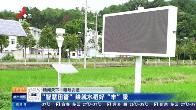 【赣闻天下】赣州安远：“智慧田管”绘就水稻好“丰”景