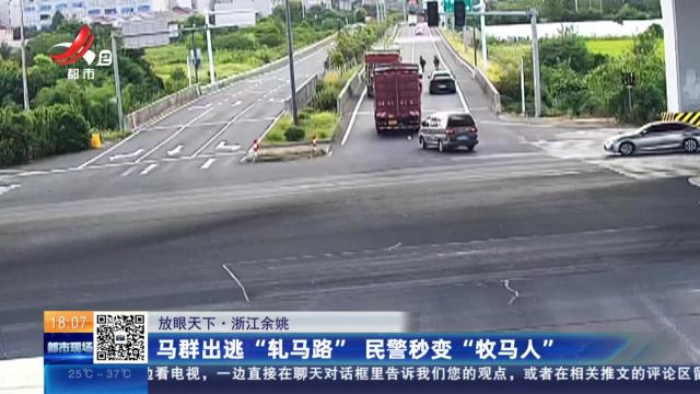 【放眼天下】浙江余姚：马群出逃“轧马路” 民警秒变“牧马人”