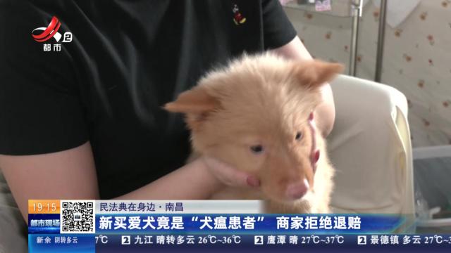 【民法典在身边】南昌：新买爱犬竟是“犬瘟患者” 商家拒绝退赔