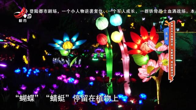 北京——世界花卉大观园开启 “光影秘境”奇幻夜游活动