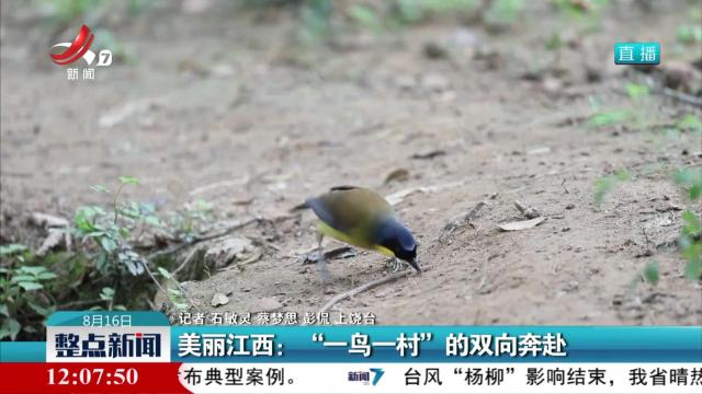 美丽江西：“一鸟一村”的双向奔赴