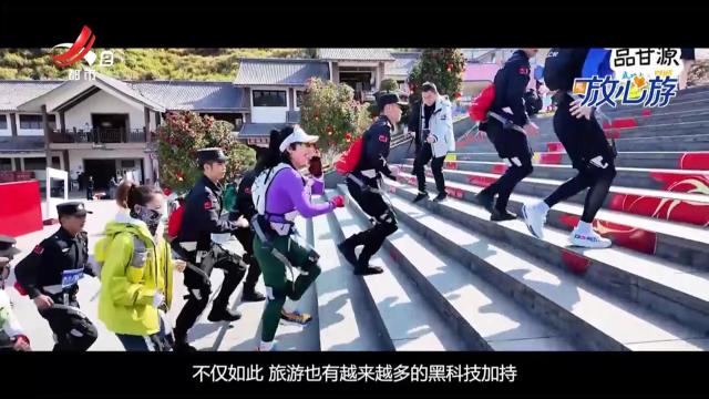 都市放心游20250817