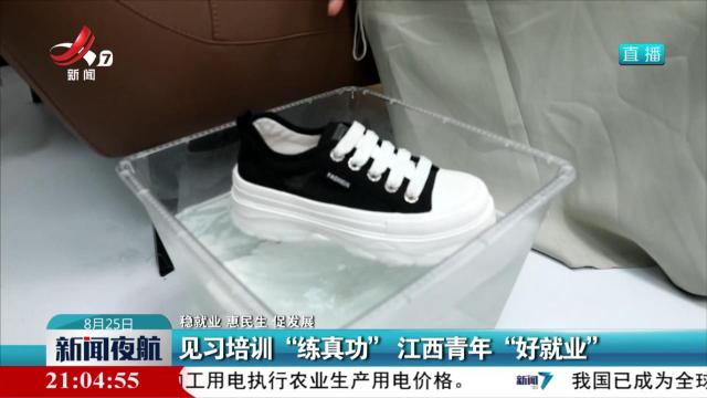 【稳就业 惠民生 促发展】见习培训“练真功”江西青年“好就业”