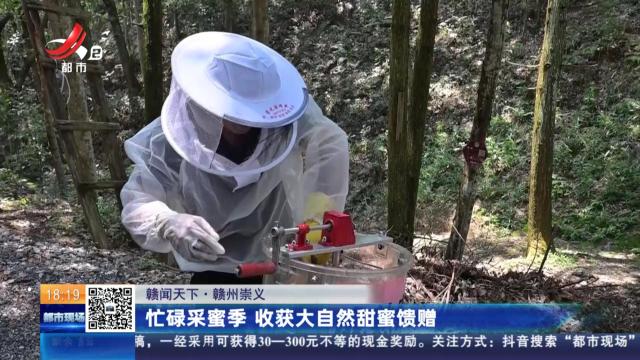 【赣闻天下】赣州崇义：忙碌采蜜季 收获大自然甜蜜馈赠