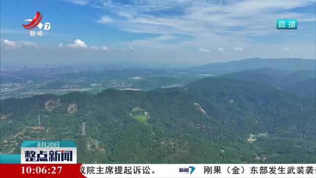 【山河见证——我们的抗战记忆】抗战烽火中诞生的新四军