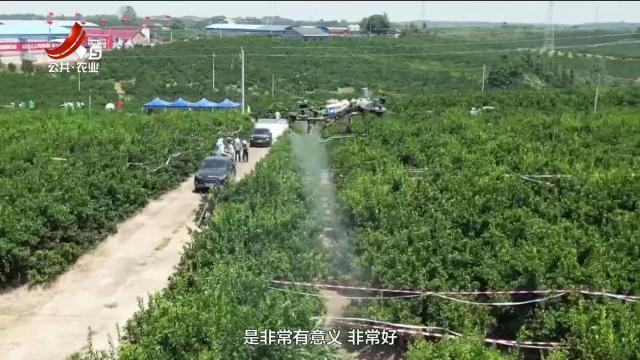 三农头条20250827