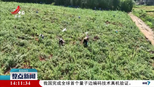 整点新闻20250809 14:00